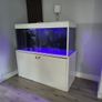 Fish tank Image 2
