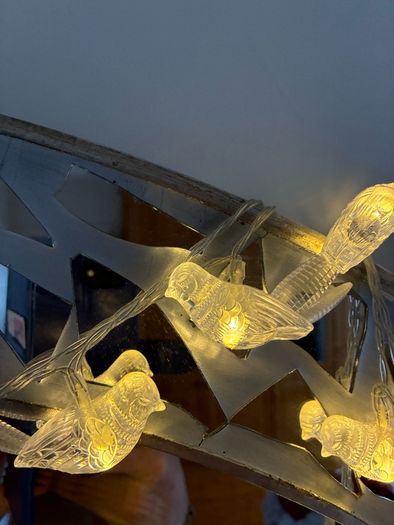 20 LED Bird Lights