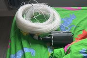 Sensory Tails