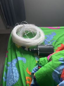 Sensory Tails
