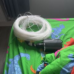 Sensory Tails
