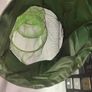 Fishing Keep Net -Coarse Fishing Keep Nets Image 5