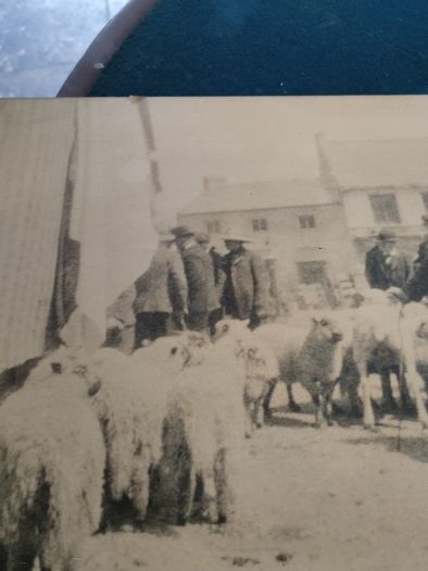 3x period photo prints