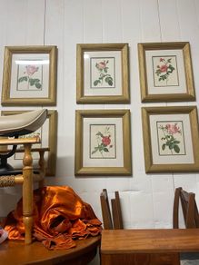 Set of six framed rose prints