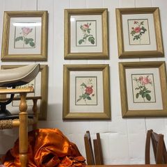 Set of six framed rose prints