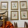 Set of six framed rose prints Image 7
