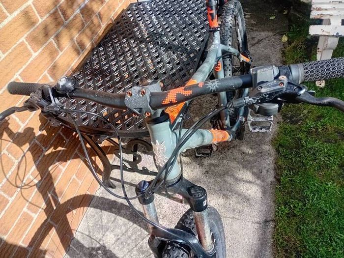 adults bike