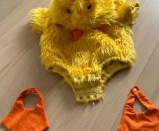 baby chicken or duck costume for 9-12 month baby