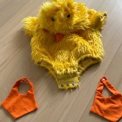 baby chicken or duck costume for 9-12 month baby
