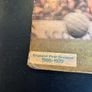 soccer stars in action sticker album 1969-1979 Image 2