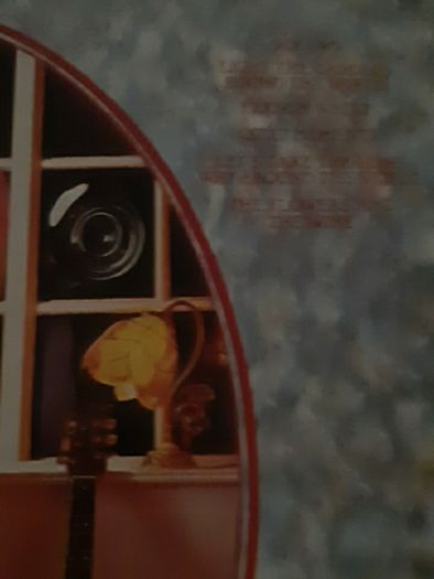 record val doonican