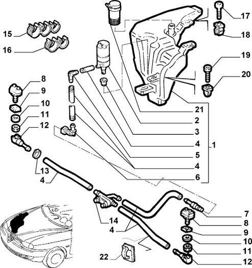 Washer Hose (Headlamp)