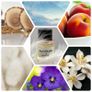 Acne Studios by Frederic Malle Image 2