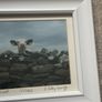 A Framed Print of a Cow by Cassidy Image 3