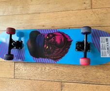 Skateboard and Pads