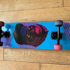 Skateboard and Pads