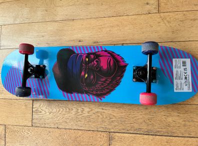 Skateboard and Pads