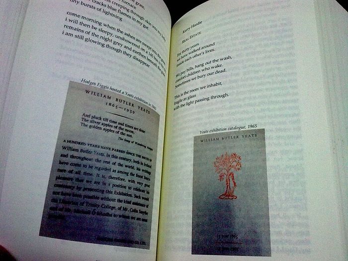 Reading the future New writing from Ireland