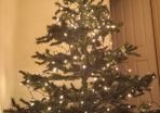 Christmas tree