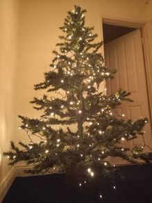 Christmas tree