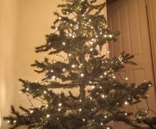 Christmas tree