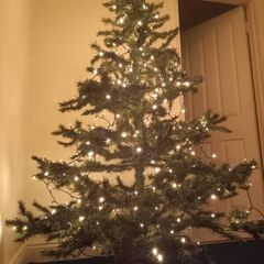 Christmas tree