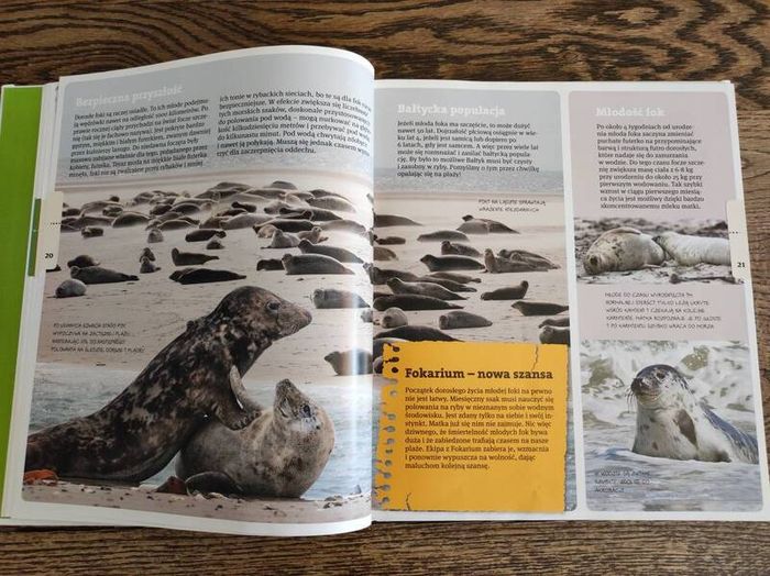 Polish Children's Nature Book, Age 6+