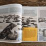 Polish Children's Nature Book, Age 6+ Image 6
