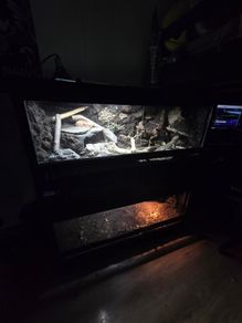 3D Background Vivariums