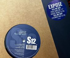 Expose - tell me why (steve Anderson remix) 12" vinyl