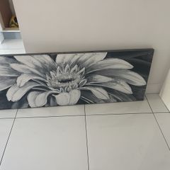 Grey/white Canvas
