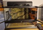 2 x Exo terra reptile tanks