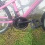24" Bike Image 6