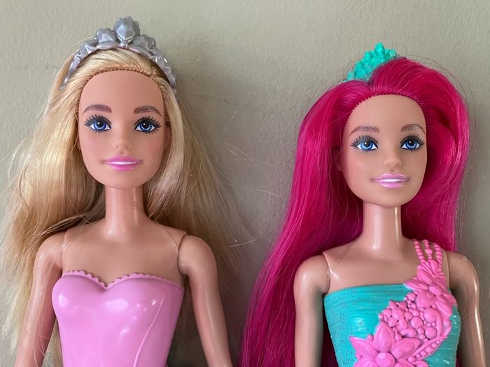 Barbie Dreamtopia and Barbie Princess Doll