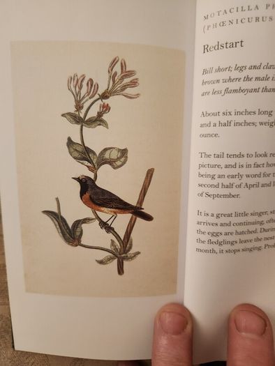Graves Garden Birds. Selected British Garden  Birds. Beautiful Illustrated  Hardback In  Very Good Condition.