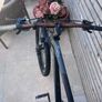 Carrera Vengence mountain bike Image 10