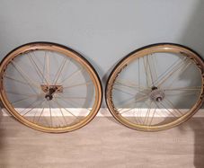 Gold Campagnolo Shamal Wheelset (Super Rare)