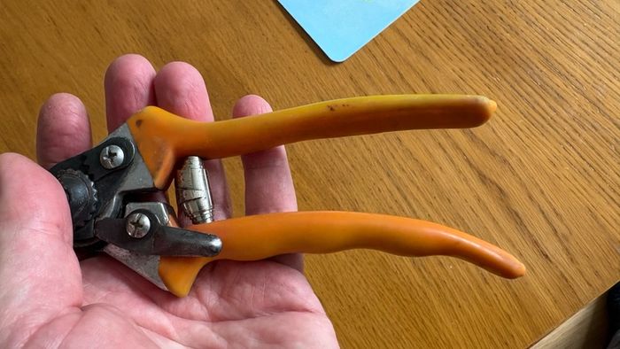 Secateurs
