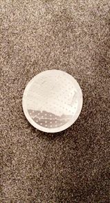 Large silver screw on shower head