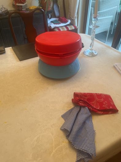 Child's portable potty