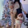 christmas pj Image 9