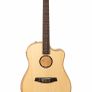 L.R.Baggs AEG 1 E-Acoustic Image 4