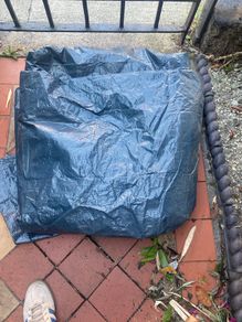 tarp
