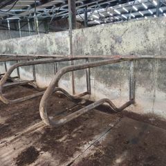 Cow Cubicles