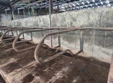 Cow Cubicles