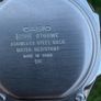 casio Image 5