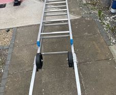 As Roof Ladder . 5 Days old.