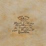 Weir and Sons Dublin Grafton Street Turtoise Shell Imitation Medal? Coin Holder Image 4