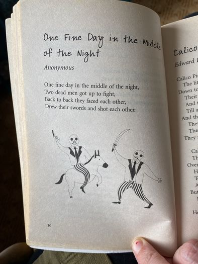 Book - The Book of Complete Nonsense