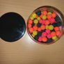 NEW - Ringers Shellfish Sinking Boilies 8 & 10mm - Carp Tench Bream Feeder Method Pellet Dumbells Hybrid Roach Image 2